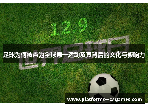 足球为何被誉为全球第一运动及其背后的文化与影响力